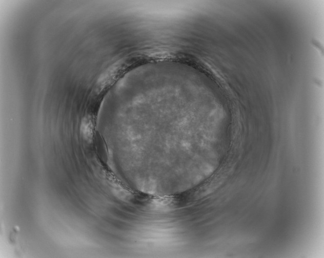 X0000102460720200808291542