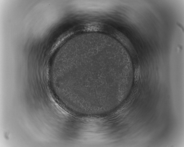 X0000102460722200808291541