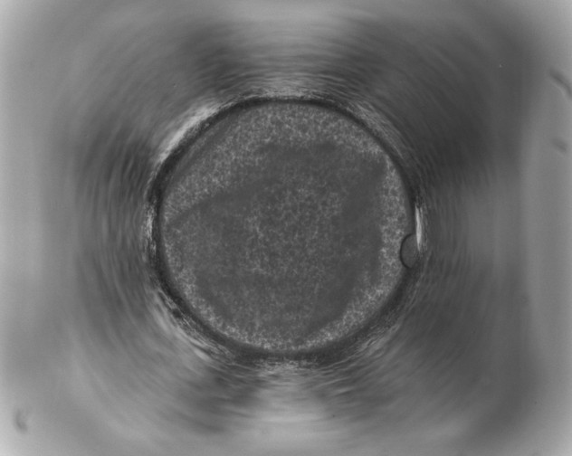 X0000102460723200808291541