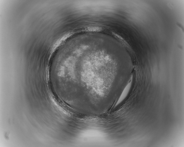 X0000102460726200808291541