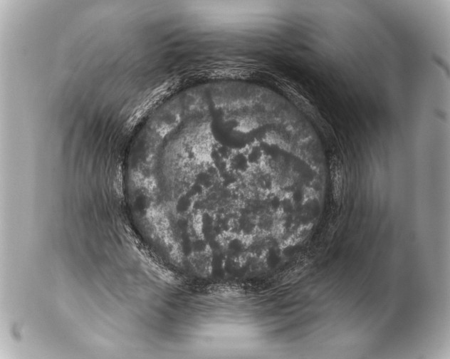 X0000102460729200808291541
