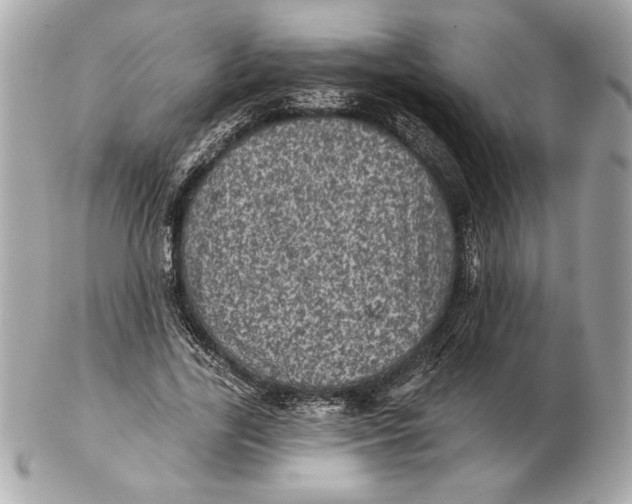 X0000102460731200808291542