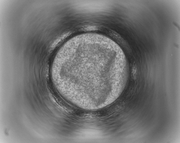 X0000102460732200808291542
