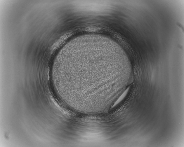 X0000102460734200808291542
