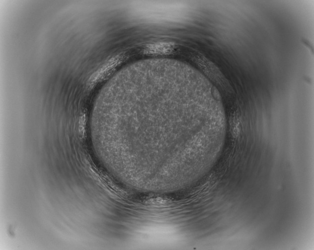X0000102460735200808291542