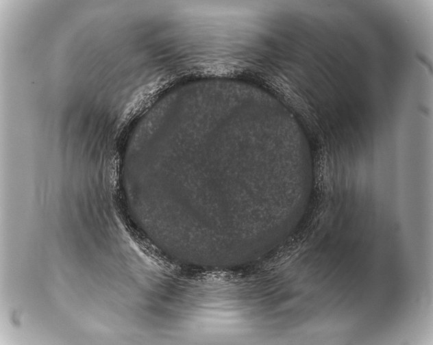 X0000102460736200808291542