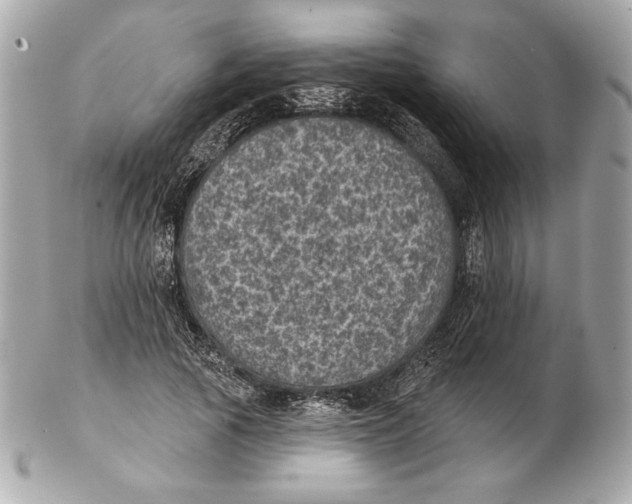X0000102460737200808291542