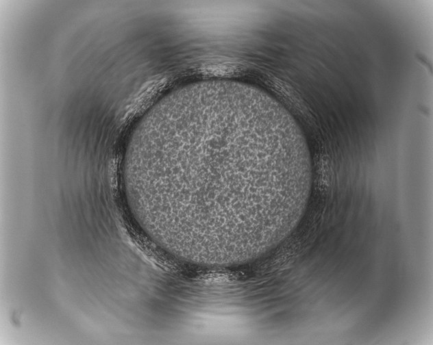 X0000102460738200808291542