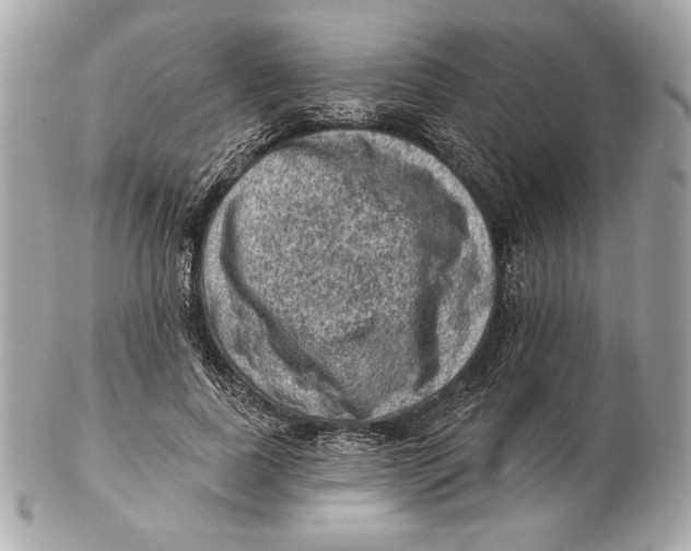 X0000102460739200808291542
