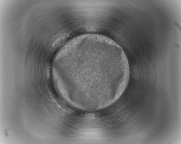 X0000102460740200808291542