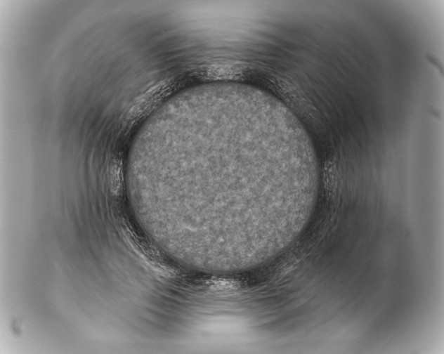 X0000102460741200808291542