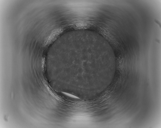 X0000102460742200808291542
