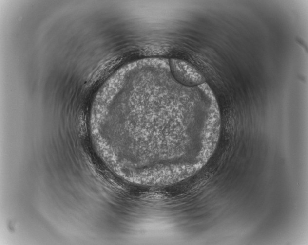 X0000102460743200808291542