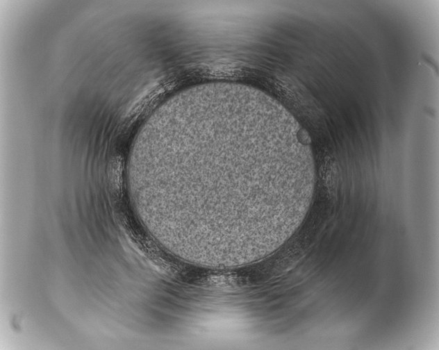 X0000102460744200808291542