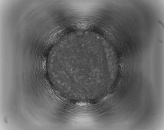 X0000102460745200808291542