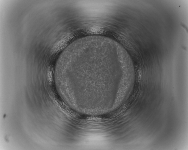 X0000102460746200808291542