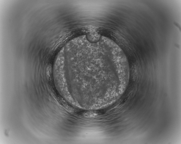 X0000102460747200808291542