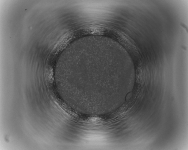 X0000102460748200808291542