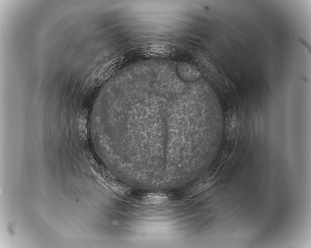 X0000102460749200808291542
