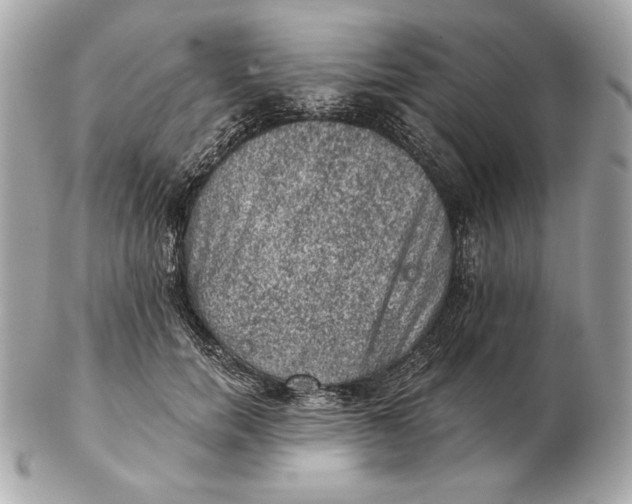 X0000102460750200808291542