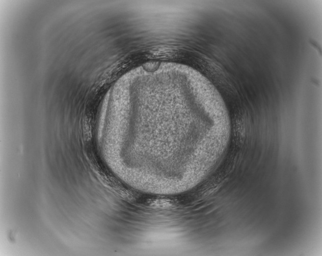X0000102460751200808291542