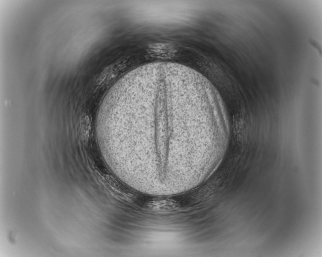 X0000102460752200808291542