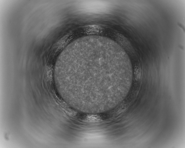 X0000102460753200808291542