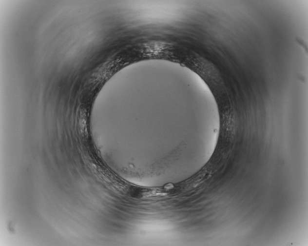X0000102460754200808291542