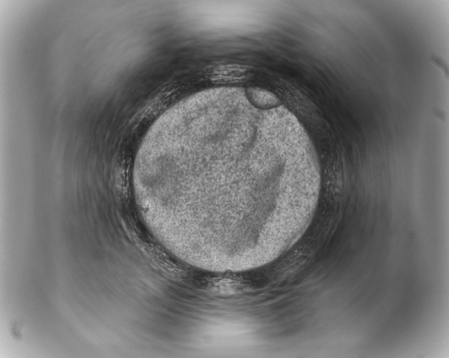 X0000102460755200808291542