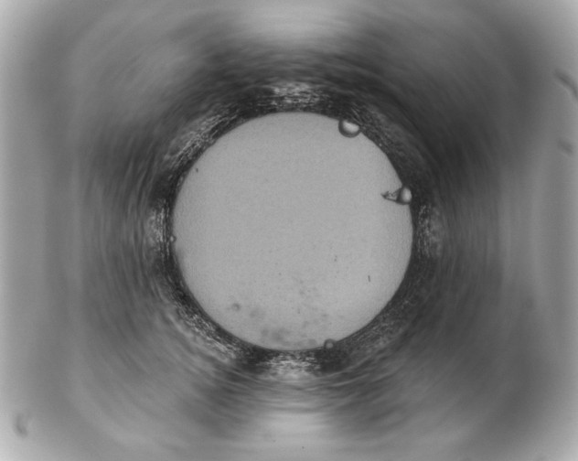 X0000102460756200808291542