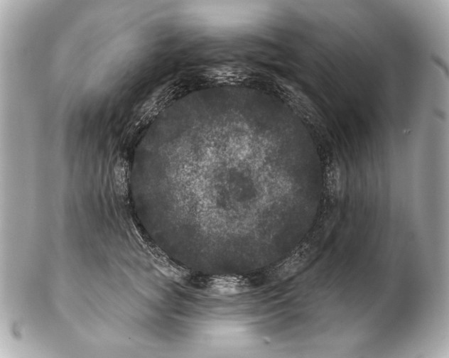 X0000102460757200808291542