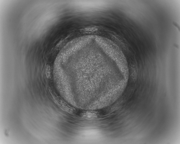 X0000102460758200808291542