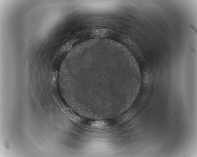 X0000102460759200808291542