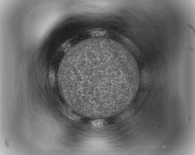 X0000102460761200808291542
