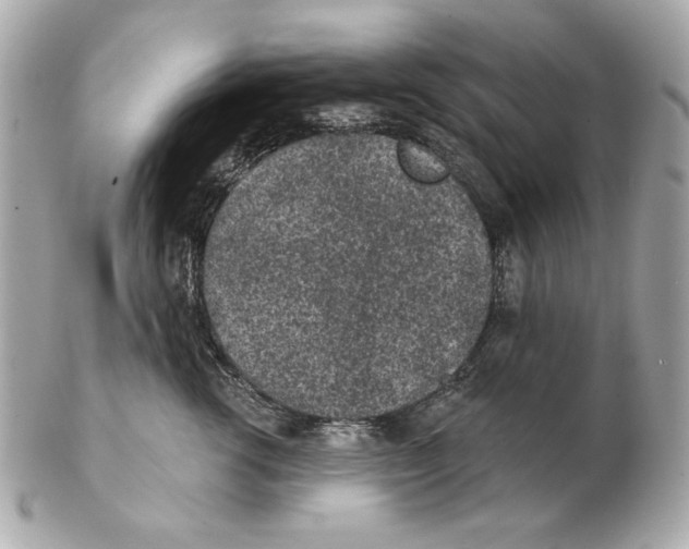 X0000102460762200808291542