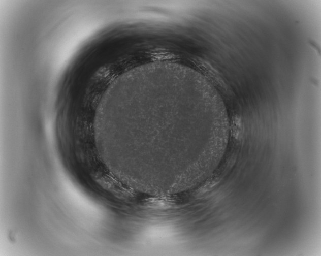 X0000102460763200808291542