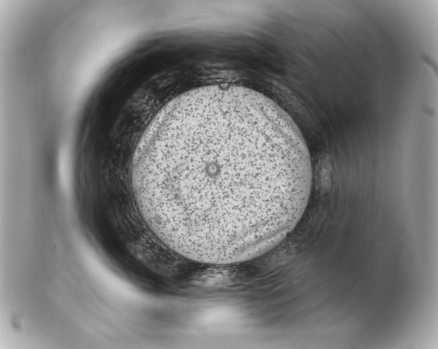 X0000102460764200808291542