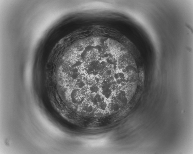 X0000102460765200808291542