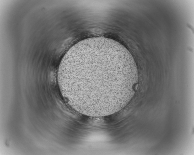 X0000102460768200808291542