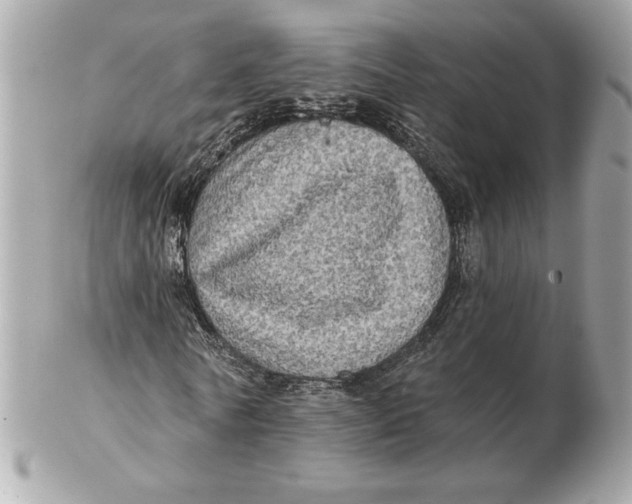 X0000102460770200808291541