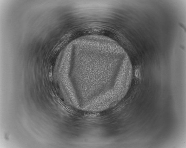 X0000102460771200808291541