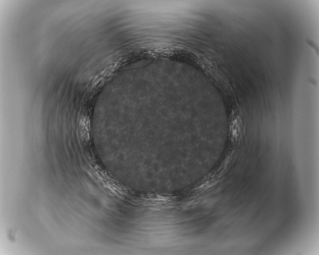 X0000102460772200808291541