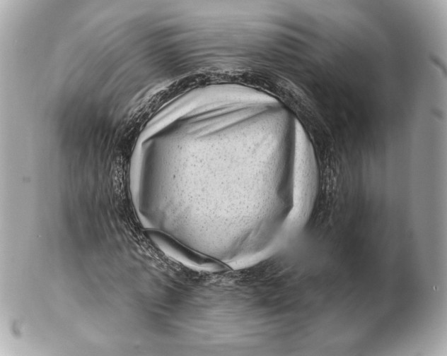X0000102460773200808291541