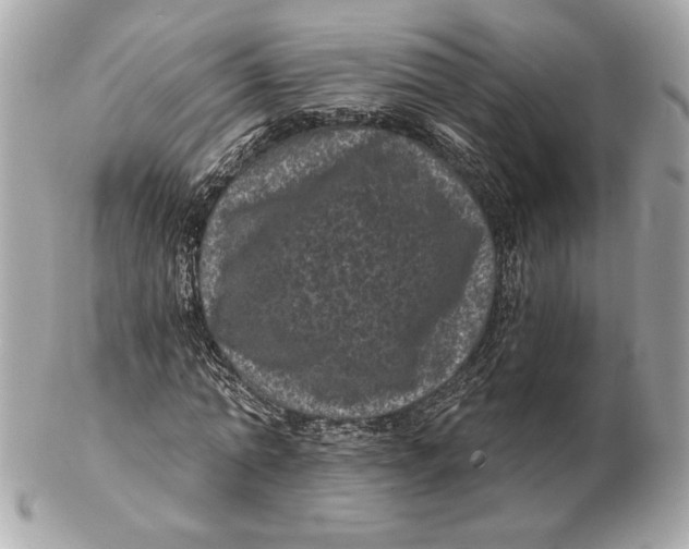 X0000102460774200808291541