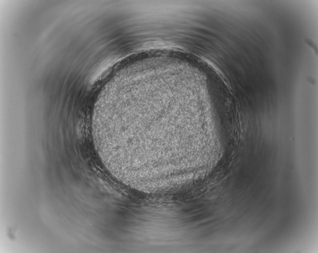 X0000102460775200808291541
