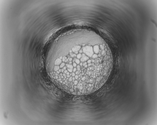 X0000102460776200808291541