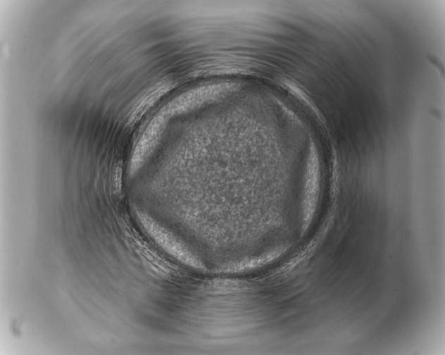X0000102460777200808291541