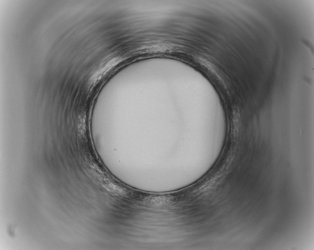 X0000102460778200808291541
