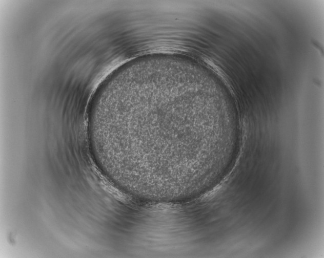 X0000102460779200808291541