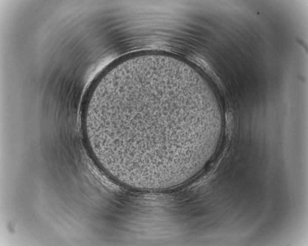 X0000102460780200808291541